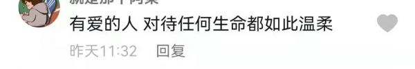 生命之吻！他人工呼吸拯救昏迷小貓，中國消防員也很暖