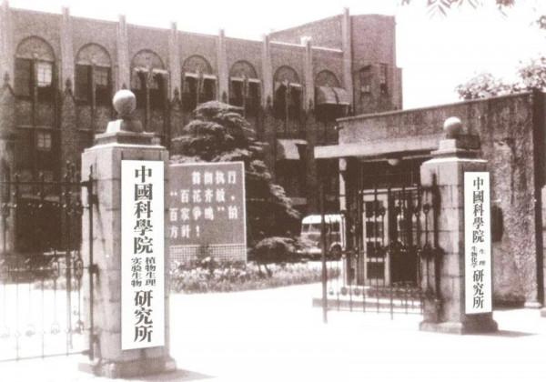 百年瞬間丨我國完成人工全合成結晶牛胰島素