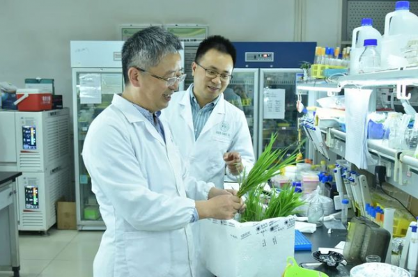 值得驕傲！盤點2021年科技的5大突破，每樣都在讓中國人抬起頭