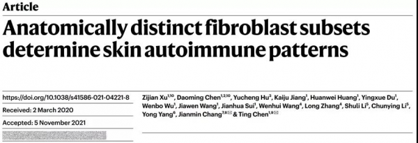 白癜風原創突破背後：一部歷時六年的&OpenCurlyDoubleQuote;失敗簡史&rdquo;