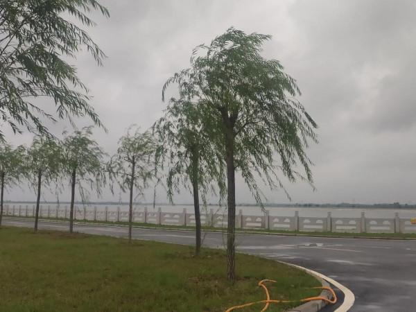 近代衰弱的中國依然保住了龐大的領土，奠定了今天民族復興的基礎