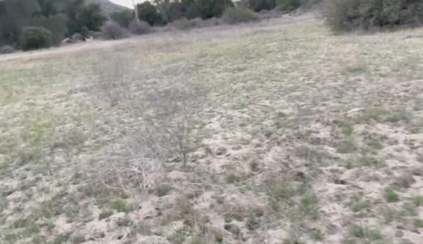 美國網紅開飛機灑朋友骨灰中途墜機？疑點太多被群噴：擺拍