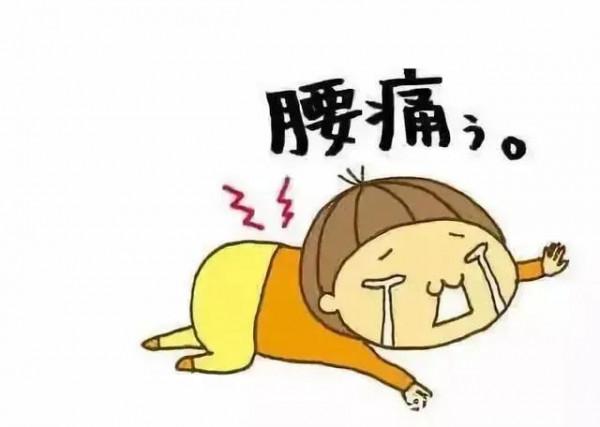 年紀未到，腰先老？送你三味藥，補肝腎益筋骨，腰痠背痛遠離我