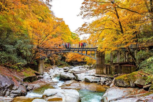 黑熊溝——四川光霧山