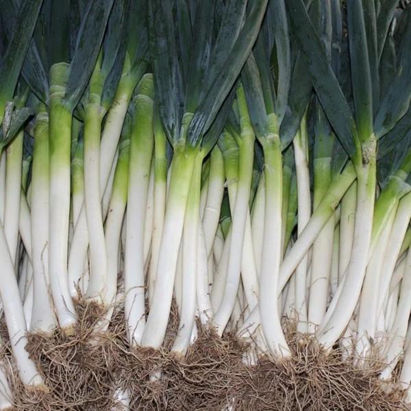 12月份吃什麼好？記得做10種食材，花錢少，吃得好，平安過冬