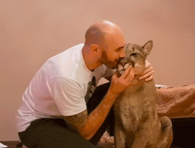 世界上只有兩種貓，俄羅斯的貓，和其他貓