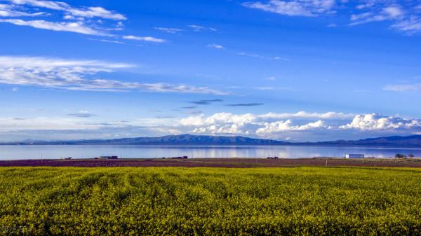美麗青海湖