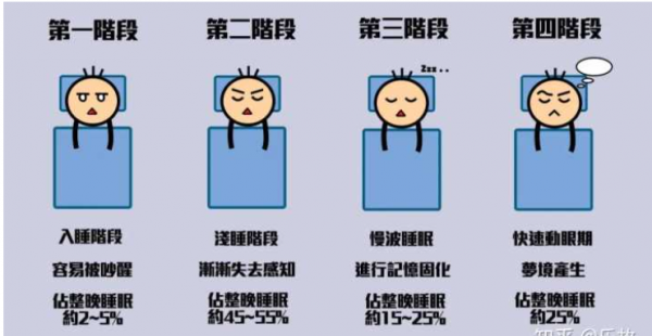 人為什麼會產生睡眠的需求?關於睡眠從何而來的幾種猜想 人為什麼會產生睡眠的需求?關於睡眠從何而來的幾種猜想