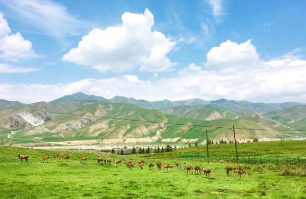 青海與甘肅交界，有座寶藏小縣城，幾乎包攬了兩地最美的風景