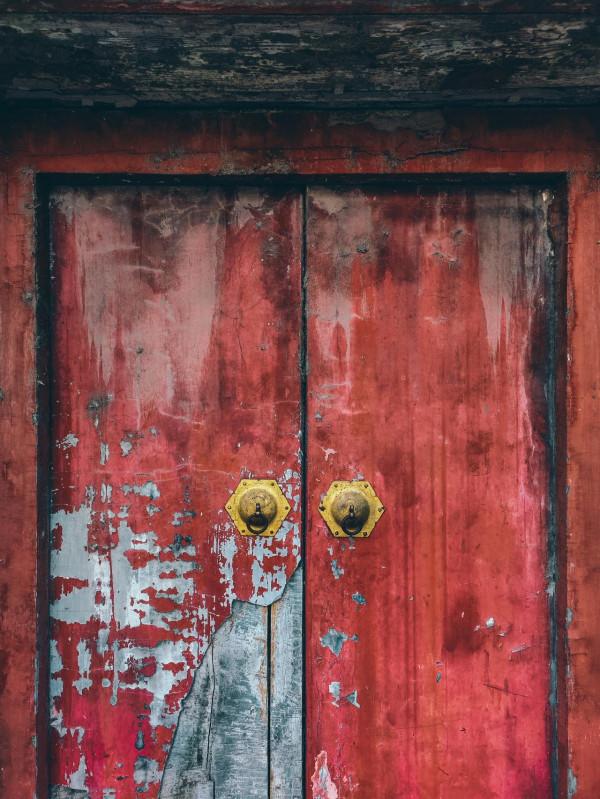 小米12 Pro對比小米12，攝影精選