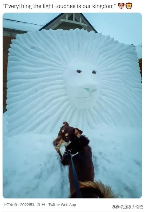 膜拜！安省男子家門口堆精美的雪獅冰雕讓眾人歎為觀止