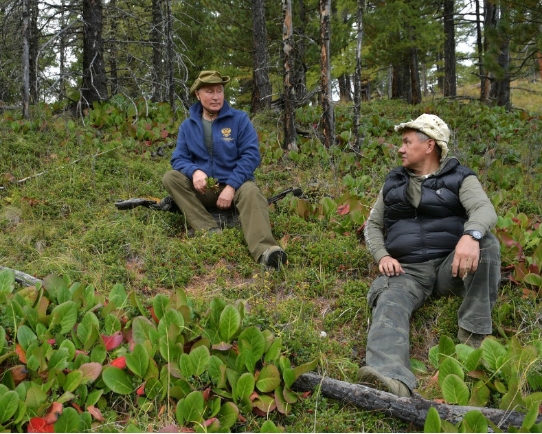 紹伊古有望俄總統？度假時仍不離左右，普京為其充當司機角色