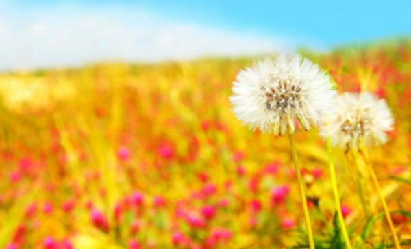 當你不與人爭辯,你就贏了 當你不與人爭辯,你就贏了