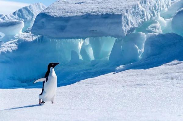 潮人新知｜人類窺探南極大陸上的諸多“第一次”