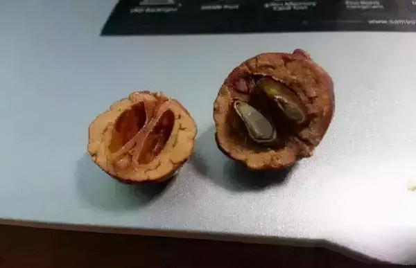 盤了八年的老核桃說砸就砸，這才是真土豪