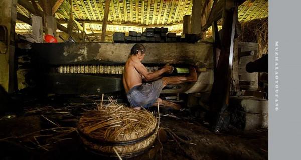 當年湘南農村的“茶籽”樹，漸行漸遠……