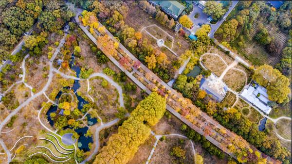 一見南京誤終身!忽然,想去金陵了 一見南京誤終身!忽然,想去金陵了