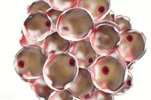 天氣轉涼,多吃肉?但是這種肉務必少吃,不然會有多個麻煩找上門 天氣轉涼,多吃肉?但是這種肉務必少吃,不然會有多個麻煩找上門