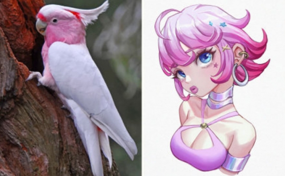 冷門動物擬人 這麼不萌的品種都可以的嗎？