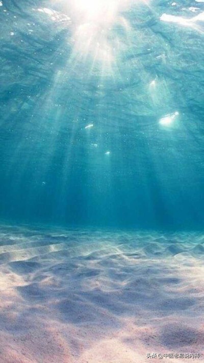 肝鬱犯脾、難自起,妻子心生埋怨,老中醫辨證治療,效果顯著 肝鬱犯脾、難自起,妻子心生埋怨,老中醫辨證治療,效果顯著