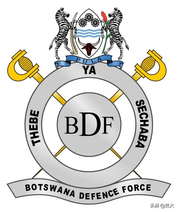 非洲國家：波札那空軍