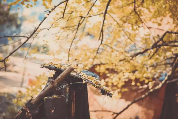 11月，必去的10個古村落，每一個都美得獨特，讓你不想離開