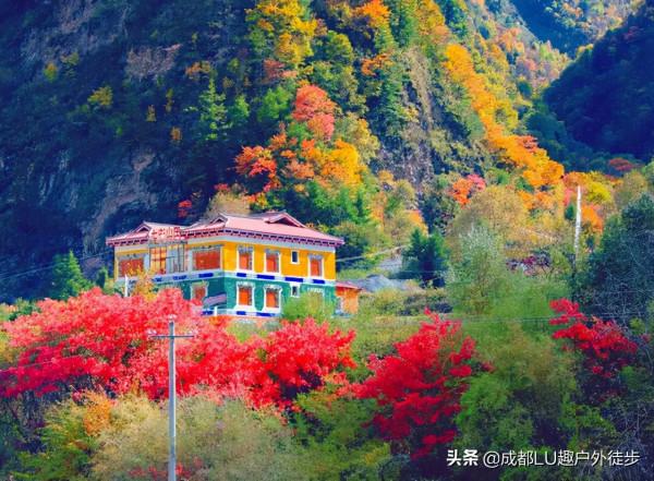 黑水秘境,感受奶子溝八十里彩林畫廊 黑水秘境,感受奶子溝八十里彩林畫廊