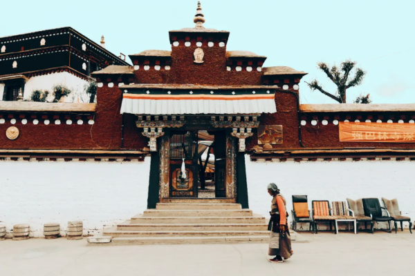 川藏南北線看花，追逐中國最美的春天