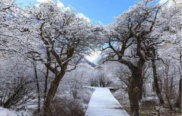 川西美景欣賞 川西美景欣賞