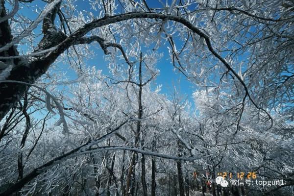 原來江南也有如此夢幻霧凇 原來江南也有如此夢幻霧凇