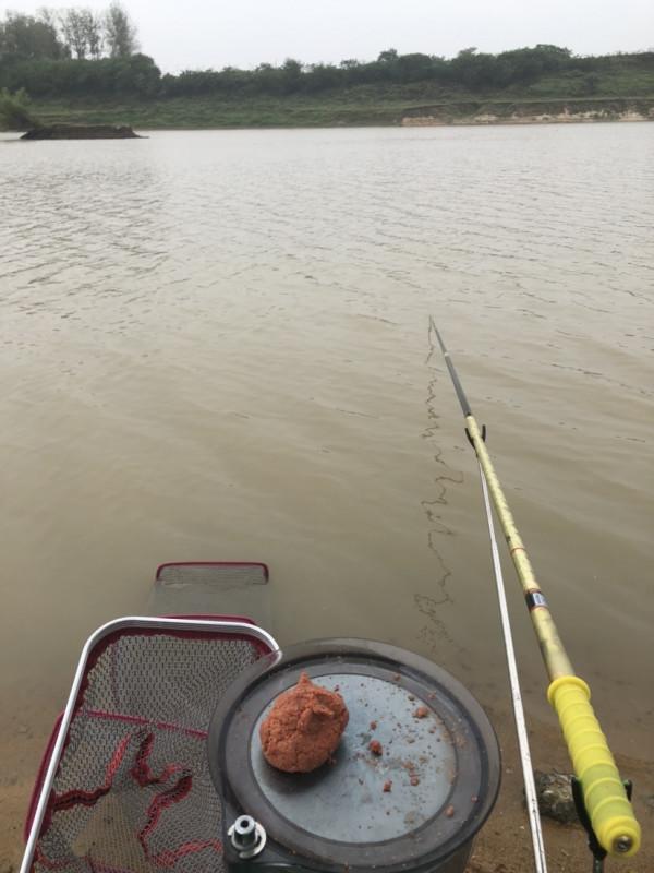 「秋釣」風雨中探釣淮河，一天不吃不喝只釣一尾紅尾，原因是水太渾？