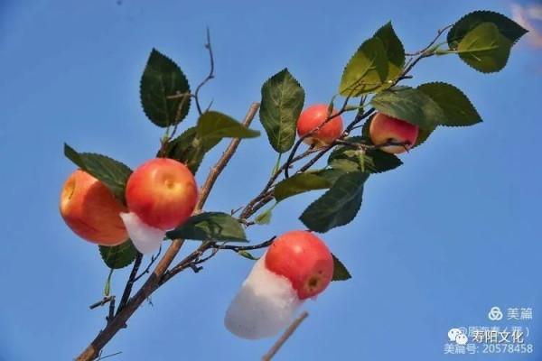 龍棲湖冰雪樂園開門迎客，激情體驗助力北京冬奧