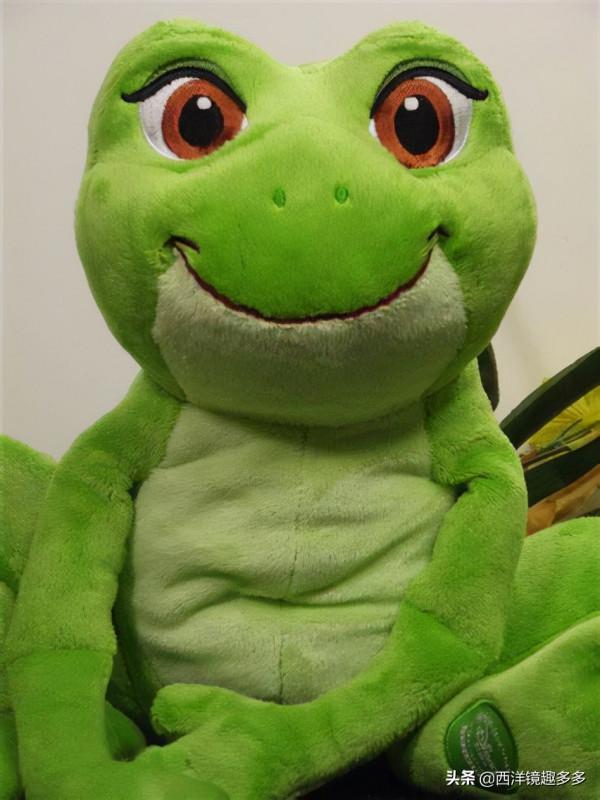 美國歌手吃生菜時發現一隻小青蛙！發帖請教專家：怎麼辦？