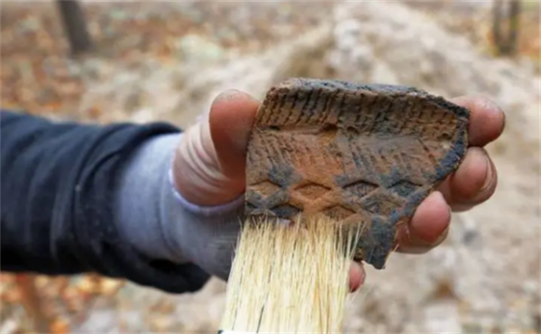 50年前，中國一場考古發現，讓專家開始懷疑歐洲歷史被篡改