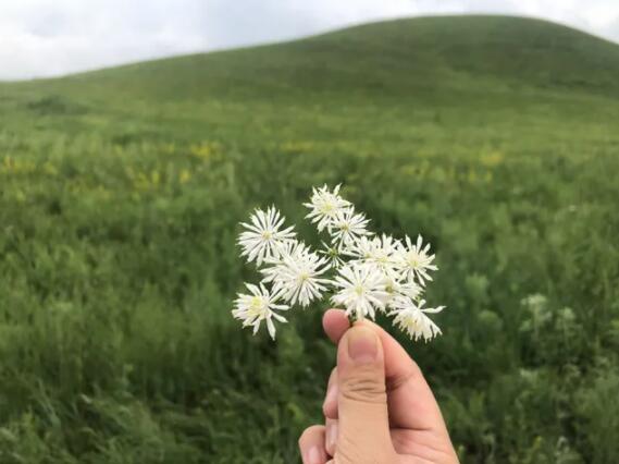 扎魯特山地草原,真3D草原 扎魯特山地草原,真3D草原