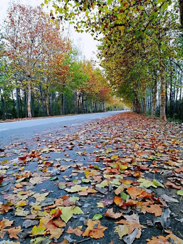 小而美的生活也是一種幸福 小而美的生活也是一種幸福