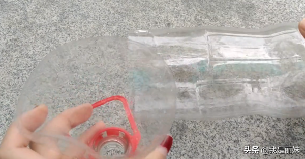 可樂瓶別扔了，這樣種蘿蔔，一年四季都有得吃，省錢又美觀