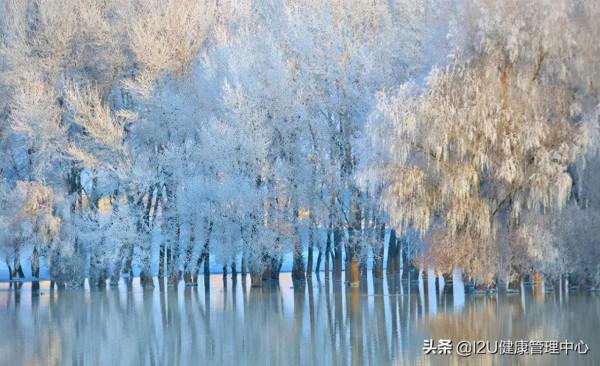 不同的季節吃不同的食物，冬季吃什麼最養生？