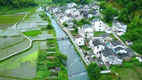 厲害！江西這四大名門望族，快看看你是其中一員嗎