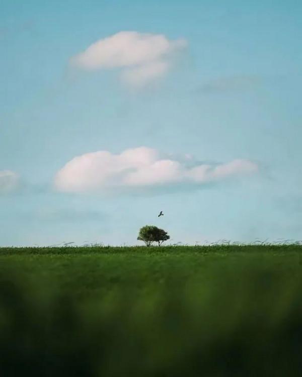 一個人成長最快速的方法