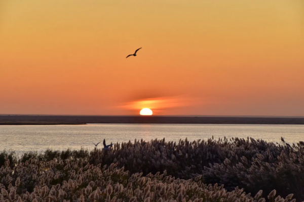 毫無懸念!今年最美的國內秋天,果然還是額濟納 毫無懸念!今年最美的國內秋天,果然還是額濟納
