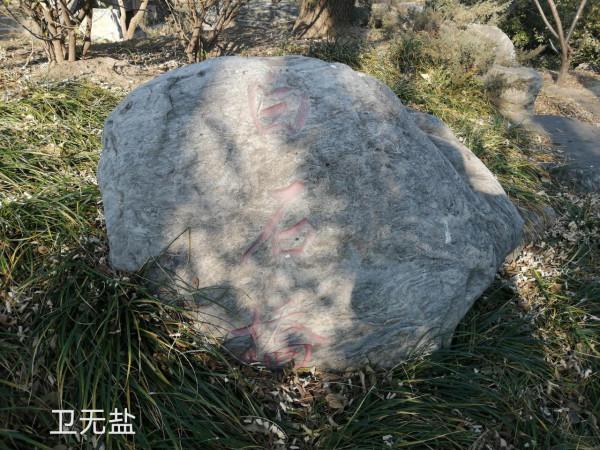 金代白石橋，重現動物園？