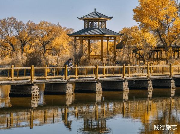 新疆喀什投入1.23億的金胡楊景區,看看68元的門票到底值不值 新疆喀什投入1.23億的金胡楊景區,看看68元的門票到底值不值