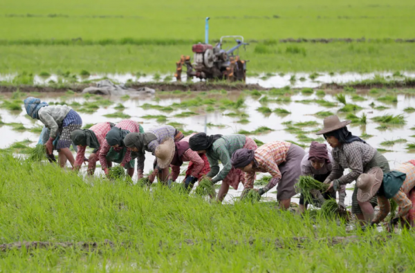為什麼說人工智慧一定會讓人失業,卻不會使職業消失? 為什麼說人工智慧一定會讓人失業,卻不會使職業消失?