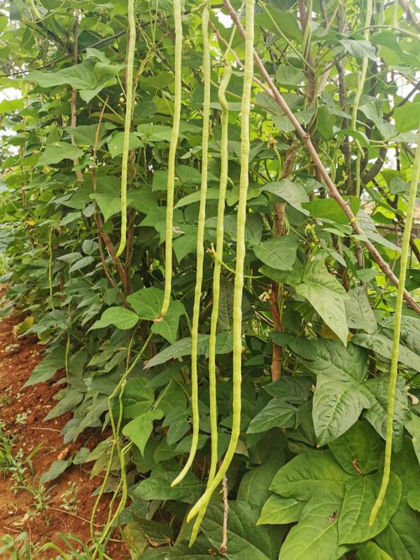 回家本身便是最重要的事 回家本身便是最重要的事