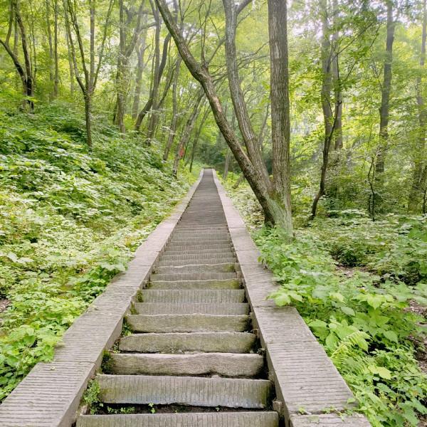 “印鈔機”武當山，票價235年賺80多億，拉動當地經濟