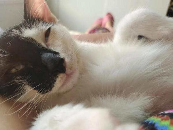 2綿和3多的小確幸