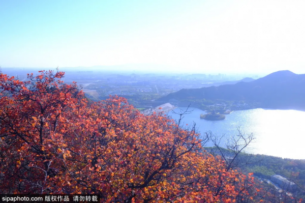 醉美紅葉觀賞路線!都安排妥了,跟著走就行! 醉美紅葉觀賞路線!都安排妥了,跟著走就行!