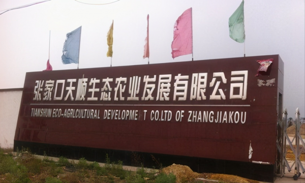 退伍老兵返鄉養黑豬，一年賣出5000萬，帶領老鄉一起走上致富路