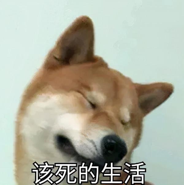 生娃後腰酸背痛,畏寒、體虛!三九天這樣治它!治它!治它 生娃後腰酸背痛,畏寒、體虛!三九天這樣治它!治它!治它